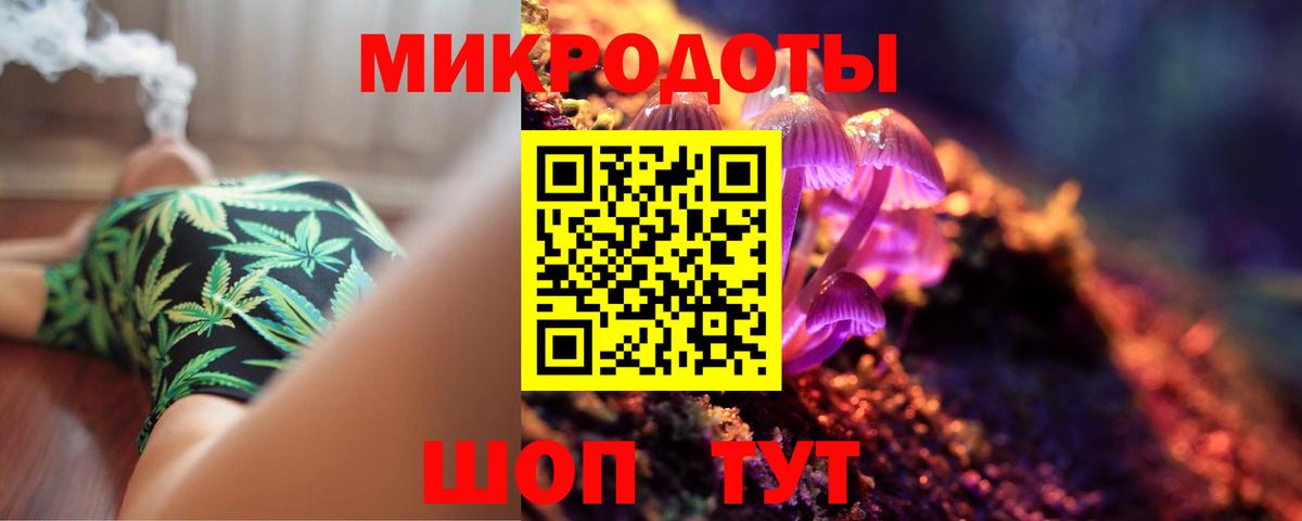 Галлюциногенные грибы Psilocybine cubensis  Вход с VPN  Аша 